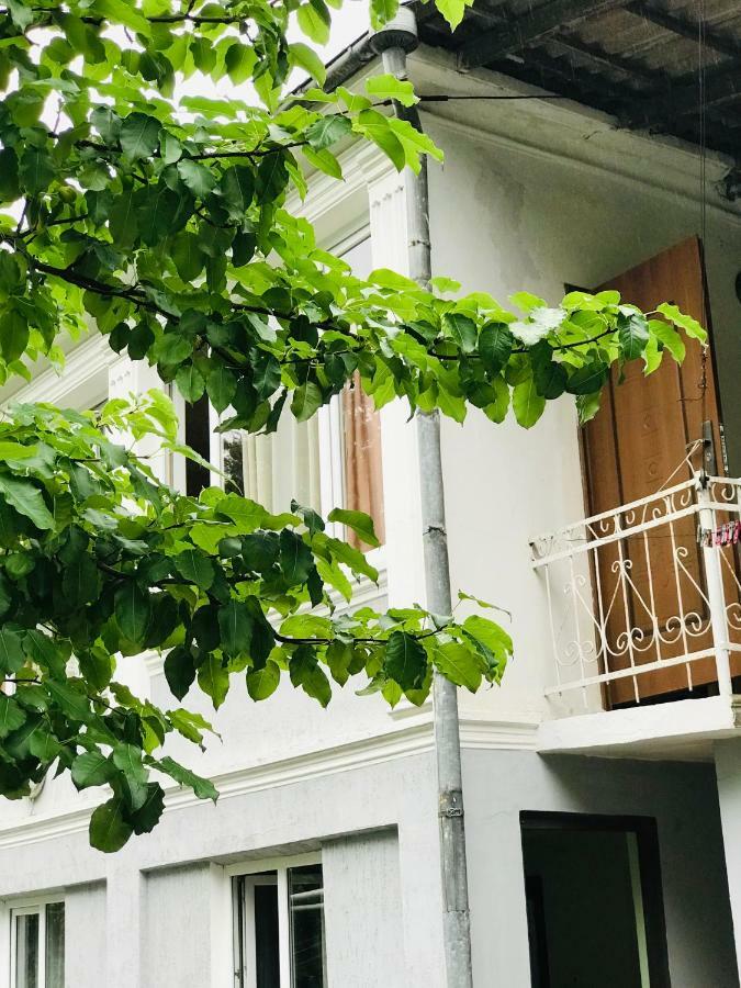 Anna Hostel Kobuleti Eksteriør bilde